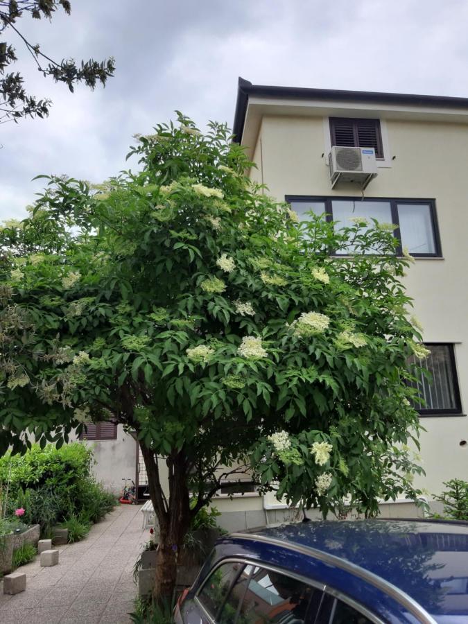 Apartma Lavela Izola Buitenkant foto