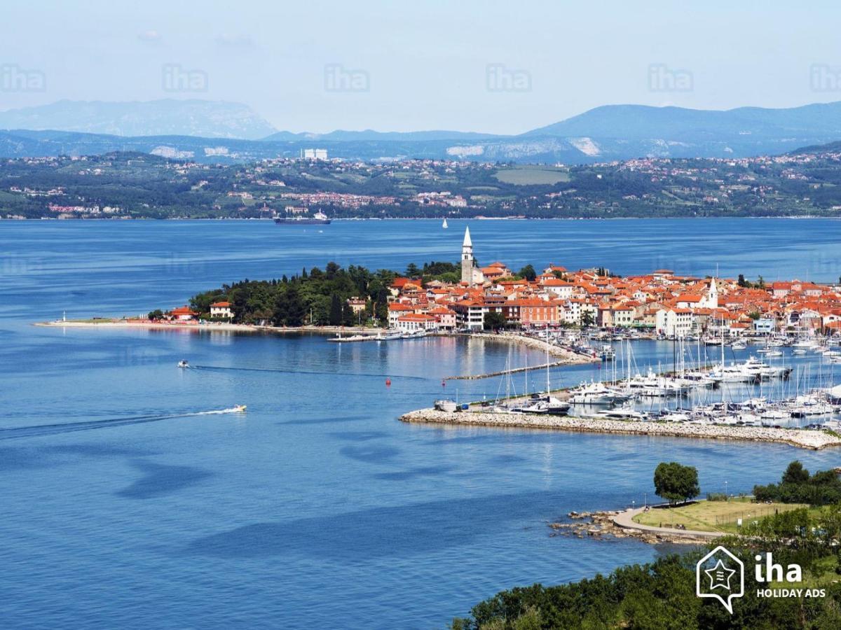 Apartma Lavela Izola Buitenkant foto